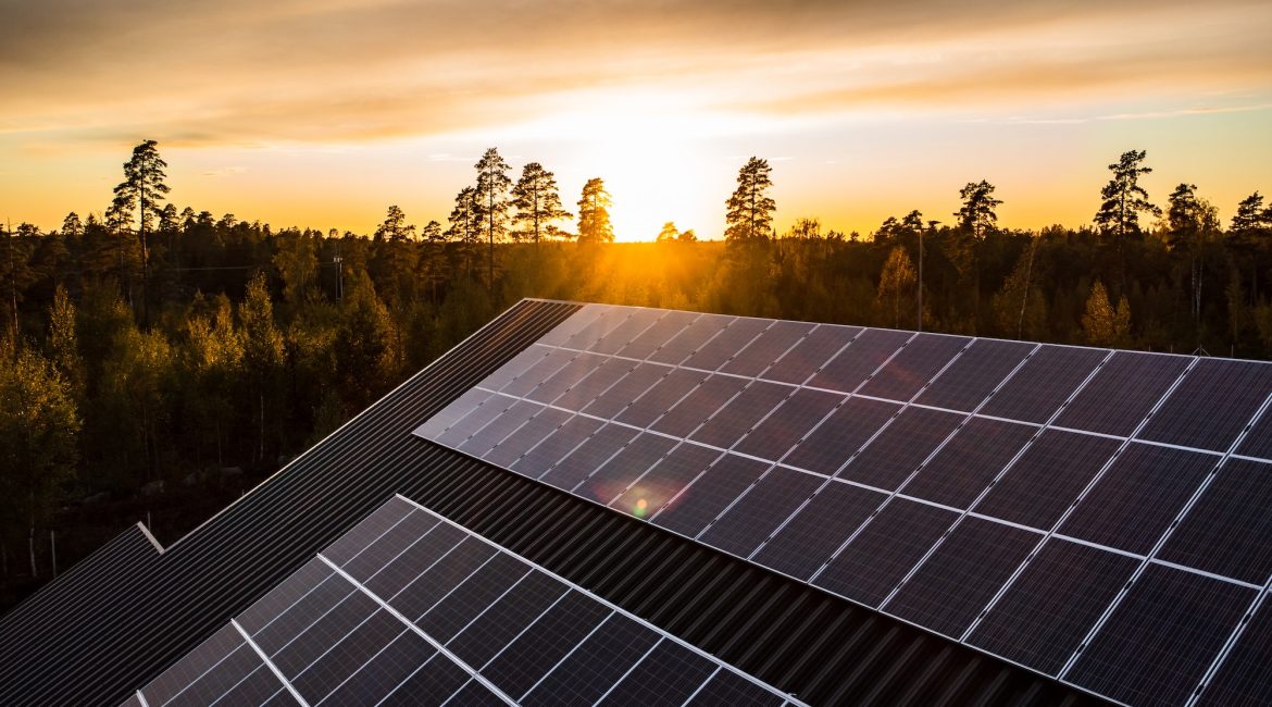 roof solar cells, sunset forest background 01